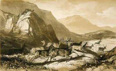 Shots from Cairn Cherie, from The Art of Deer Stalking: Illustrated by a Narrative..., 1839 by William Scrope